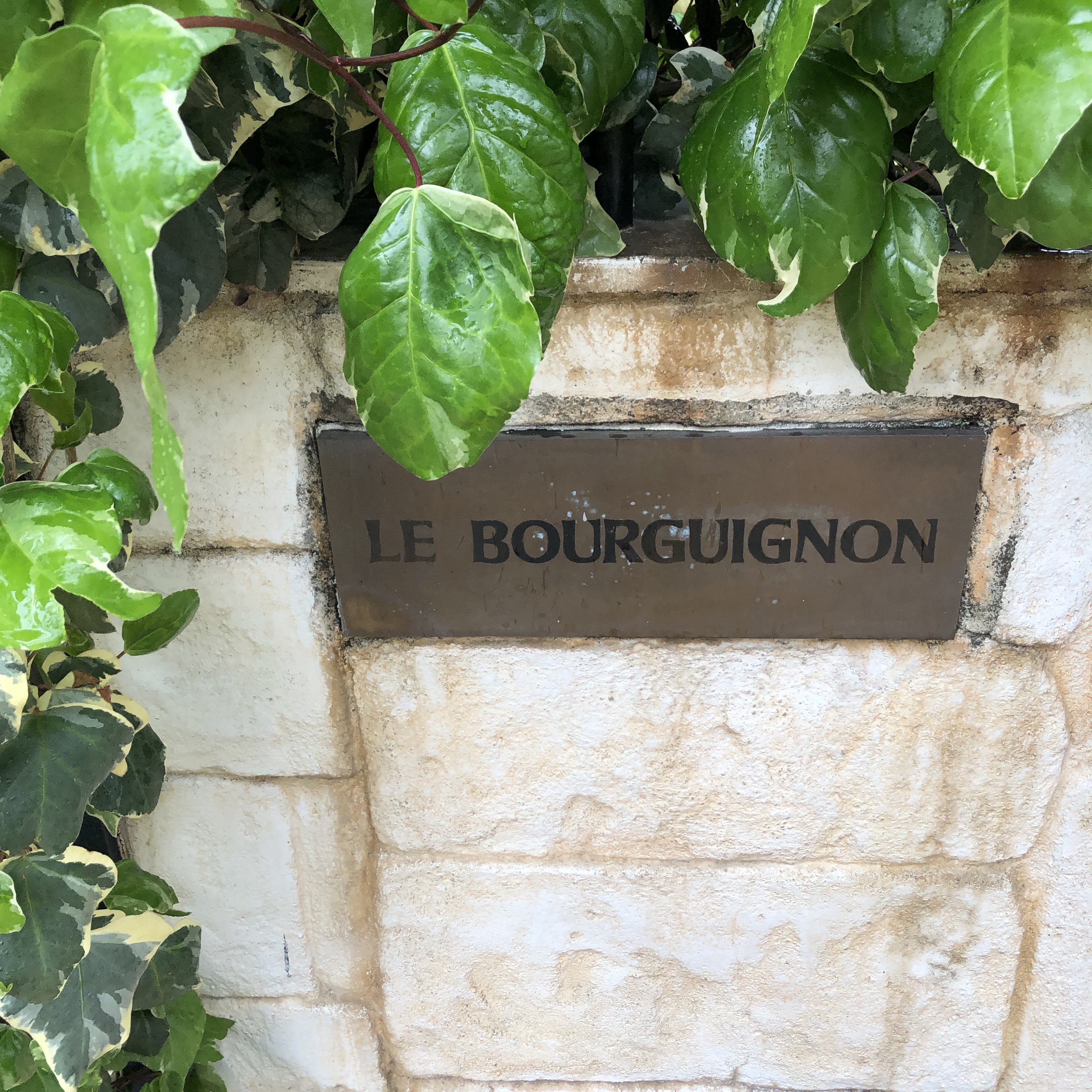 クラシックな本格フレンチ Le Bourguignon ル ブルギニオン 六本木 きむフレンチ